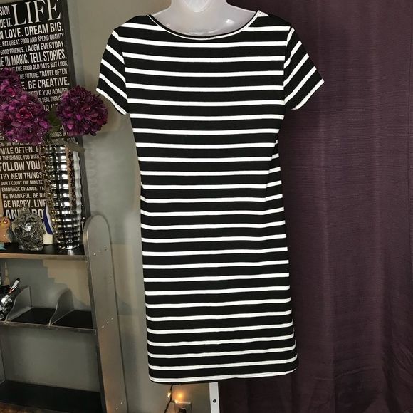 AB Studio: Striped Dress - Picture 3 of 3